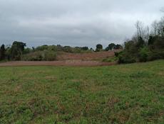 40 соток земли 