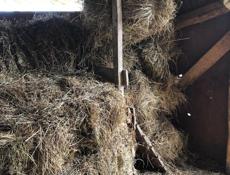 Продам сено