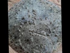 Свежая камбала в прдаже