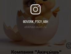 ЦЫПЛЯТА 5-7 дней