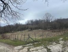 Земельный участок в Цандрипше 