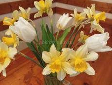 Возьму в аренду кафе 