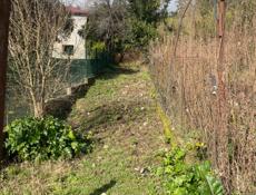 Гагра участок 50 соток 