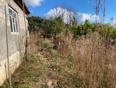 Гагра участок 50 соток 