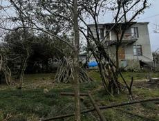 Пикантная 2 года 3мета