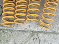 Пружины спортивные 