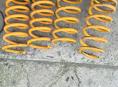 Пружины спортивные 