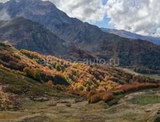 Ремонт, отделка, кровля