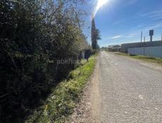 АЛАХАДЗЫ 80 СОТОК