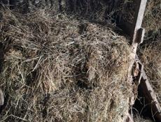 Срочно сегодня