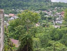 Обмен продаж 