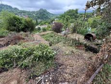 Обмен продаж 