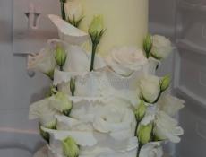 Бенто/Торт Гагра