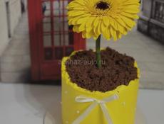 Бенто/Торт Гагра