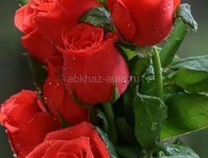 Девушка ищет удалённую работу!