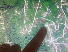 Куплю квартиру 