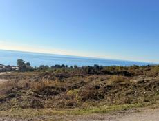 Срочно! 15 сотых