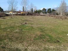 Участок 22 сотки в Пицунде 