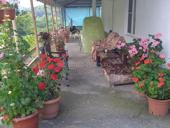 Сдаётся дом и комнаты 