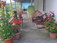 Сдаётся дом и комнаты 