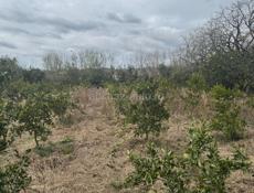 Продаю дом с документами жилой 