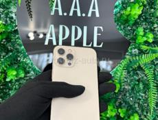 IPHONE 12 pro max 256 g