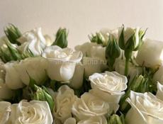 Генератор новый 