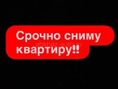 Срочно ‼️ 