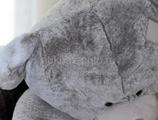 Волнистый попугайчик