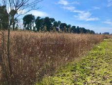 УЧАСТОК 6 СОТОК В АЛАХАДЗЫ