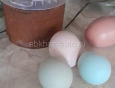 продается аджика деревенская все с огорода