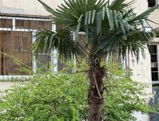 1к-квартира с балконом 