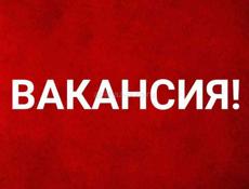 Мясник, продавец