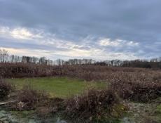 Золотой берег 30 соток