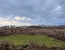 Золотой берег 30 соток