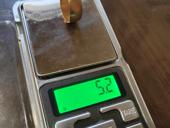 Кольцо ссср 