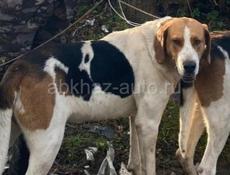 Потерялась в Районе Аэропорта 