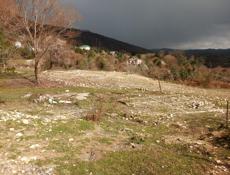 Участок на Чанба срочно рядом Монастырь 