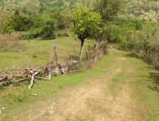 Участок на Чанба срочно рядом Монастырь 