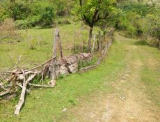 Участок на Чанба срочно рядом Монастырь 