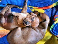 Скоро в продаже