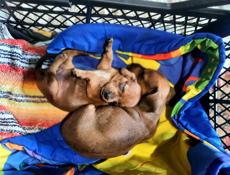 Скоро в продаже