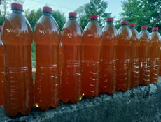 Горный мёд. Фляга 20т