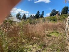 Участок Гагра 50 соток 