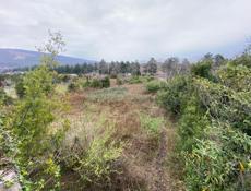 Участок вдоль центральной трассы Сухум Ачадара 