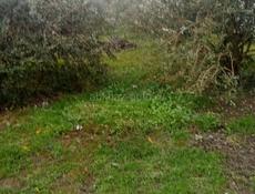 Продам участок 10 соток в Сухумском районе посёлок н.Эшера ул.братьев Изугбая цена 53 тысячи долларов США! можно и в рублях!