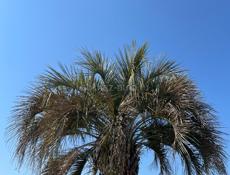 СНИМУ КВАРТИРУ НА АБАЗГАА 