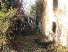 Участок 9 соток