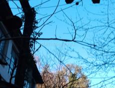 Срочно тельфер