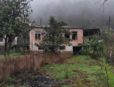 12 соток виэм